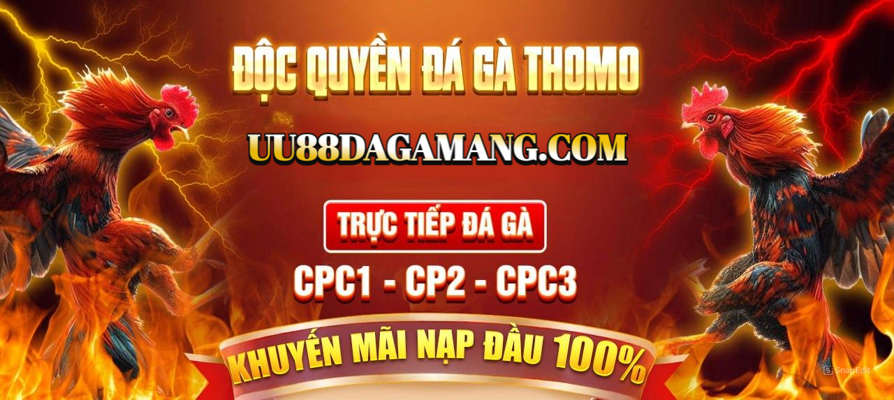 banner-sv8386-net