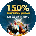 Ưu đãi BJ66